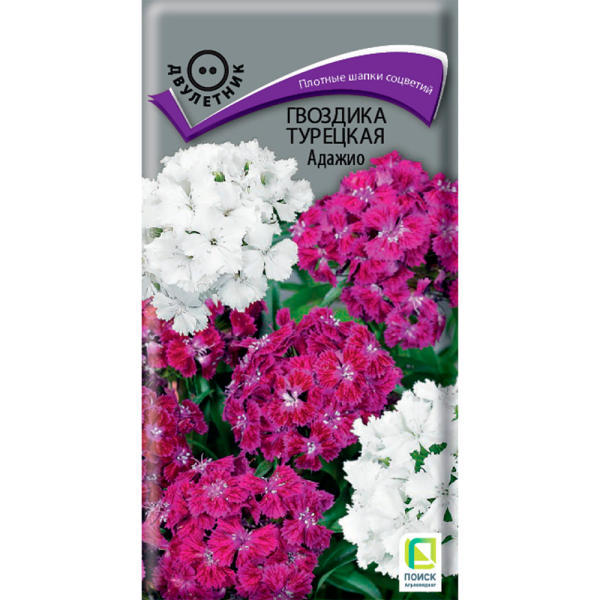 Гвоздика (бородатая) Турецкая Адажио (ЦВ) (2) 0,3гр