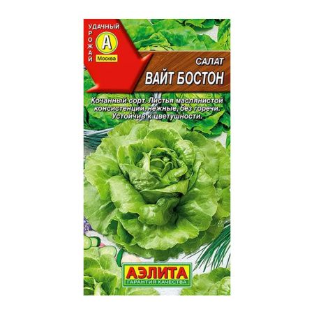 02Аэ1130 Салат Вайт бостон 02Аэ1130 Салат Вайт бостон