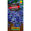 Лобелия Сапфир ампельная