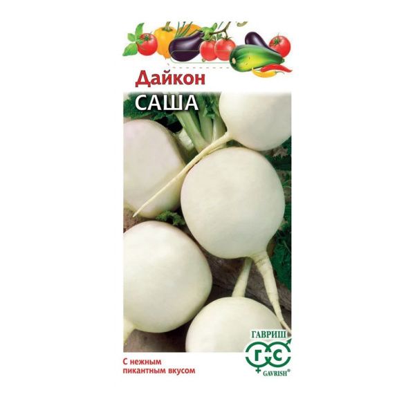 Га010409 Дайкон Саша 1 г