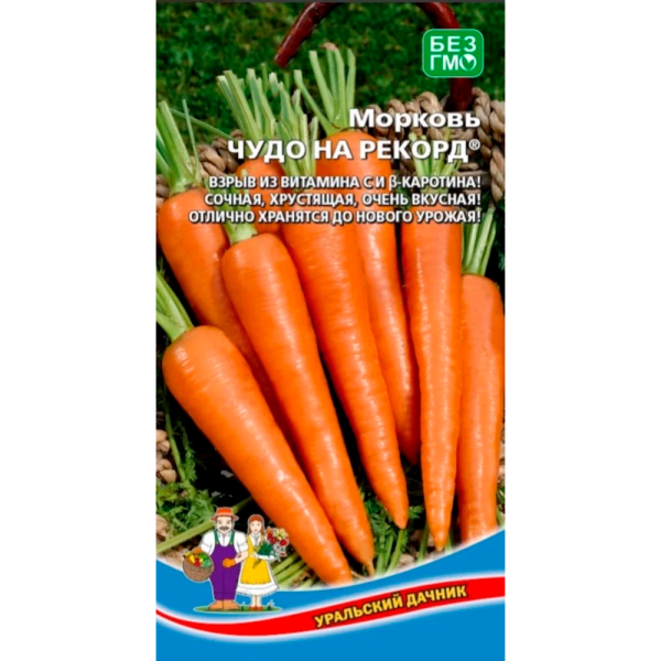 Морковь Чудо на Рекорд