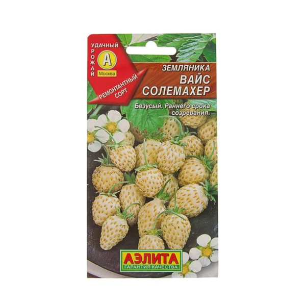 Земляника Вайс Солемахер (белая)