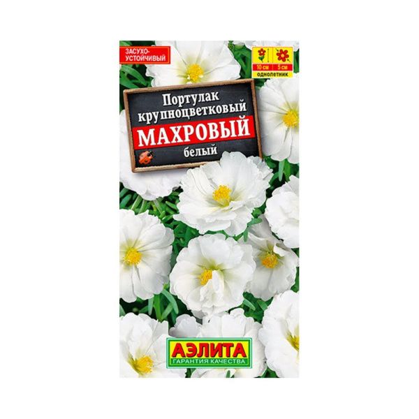 02Аэ1661 Портулак махровый белый