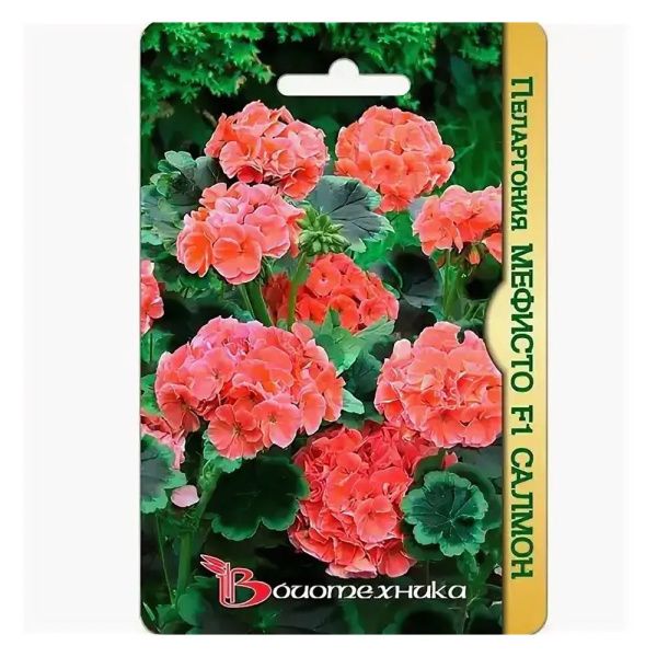 02Би3244 Пеларгония Мефисто F1 Салмон NDS
