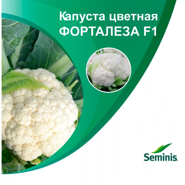 Капуста цветная Форталеза F1