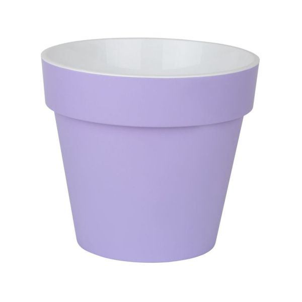 ПР11-21 Протея 0,7 л Лавандовый,д.11,5 н.10, пластиковый горшок с поддоном (10 уп-80кор)