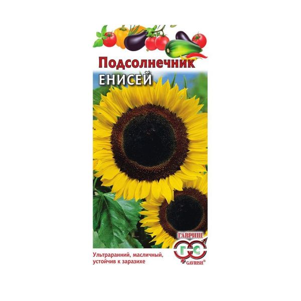 Га031355 Подсолнечник Енисей 10 г