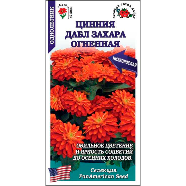 Цинния Дабл Захара Огненная
