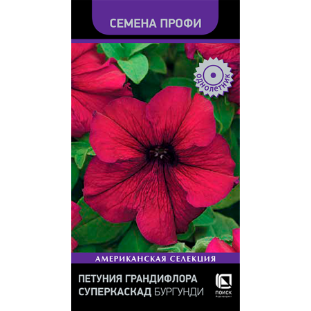 Петуния грандифлора Суперкаскад Бургунди (Семена Профи) (ЦВ) (1) 10шт