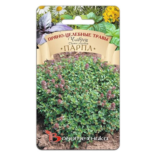 02Би2897 Чабрец Парпл NDS