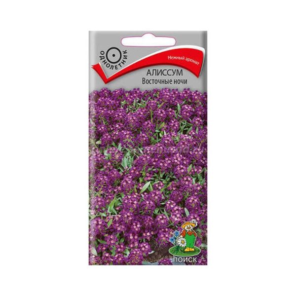 02По5191 Алиссум Восточные ночи (ЦВ)