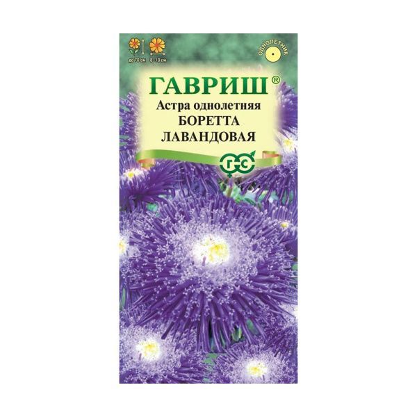 Га010056 Астра Боретта лавандовая, однолетняя (принцесса) 0,3 г