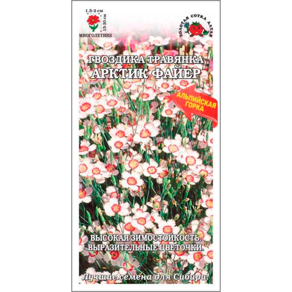 Гвоздика Арктик Файер травянка