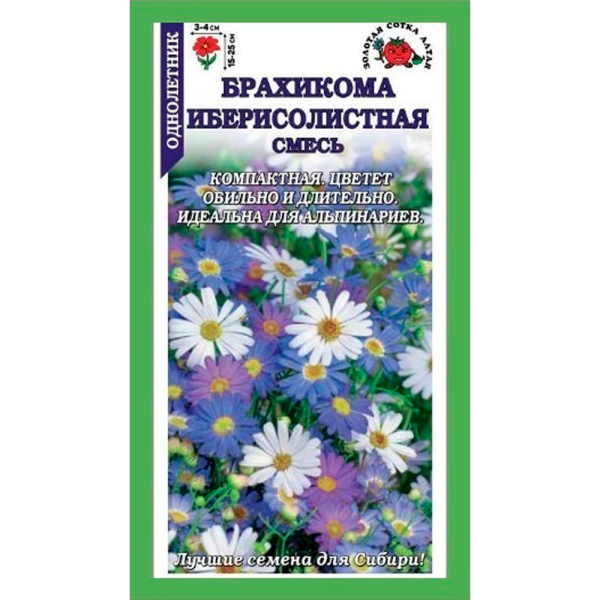 Брахикома Иберисолистная смесь