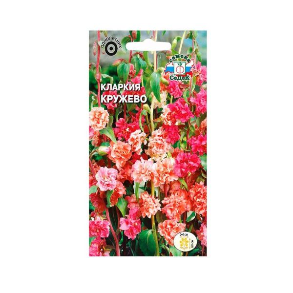 02Се4896 цветок Кларкия Кружево (высокорослая смесь) (Евро, 0,25  14997)