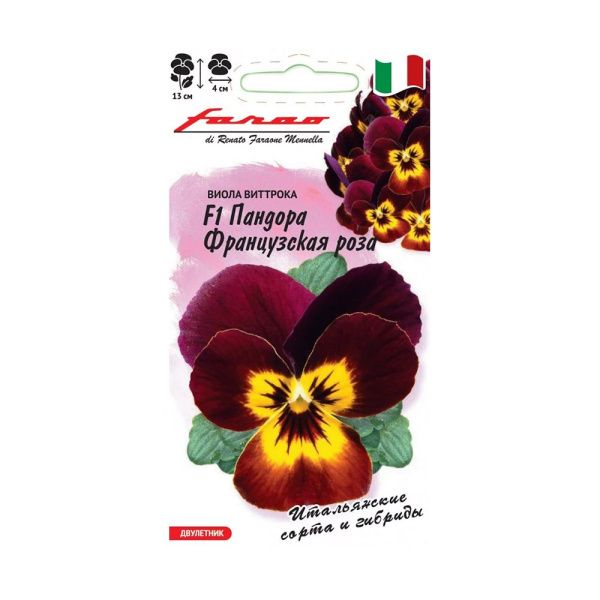 Га014432 Виола Пандора французская роза F1 5 шт. серия Фарао Н21 DHп
