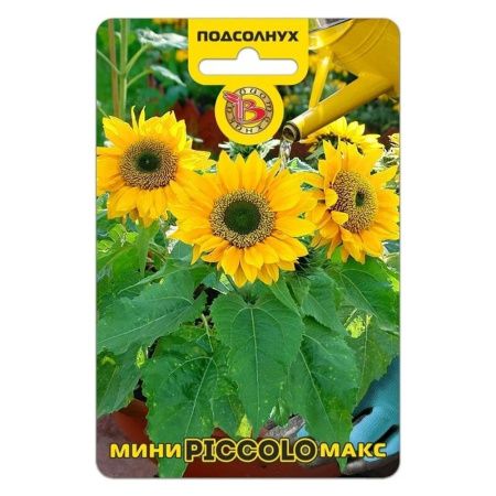 02Би3249 Подсолнух карликовый Мини-Макс F1 Пикколо NDS