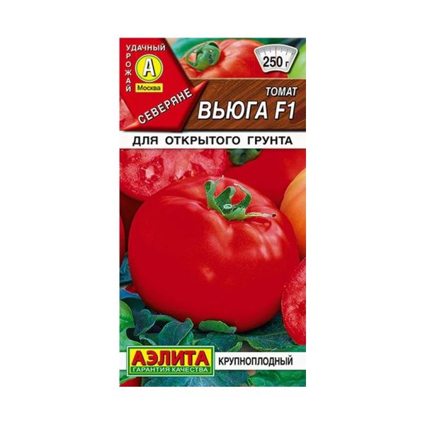02Аэ1122 Томат Вьюга F1