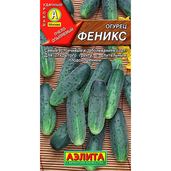 Огурец Феникс