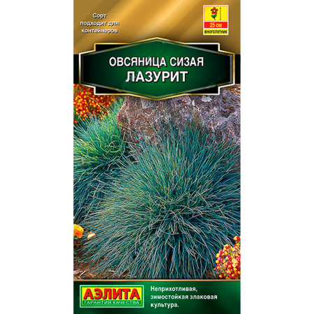 Овсяница Лазурит сизая Овсяница Лазурит сизая