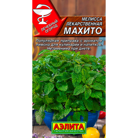 Мелисса лекарственная Махито