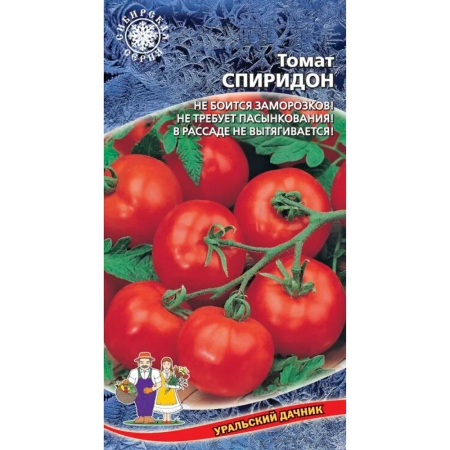 Томат Спиридон