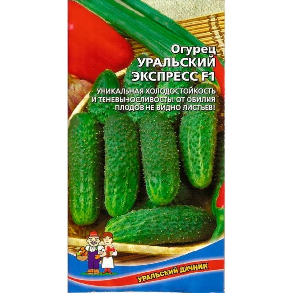 Огурец Уральский Экспресс