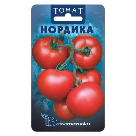 02Би3134 Томат Нордика NDS