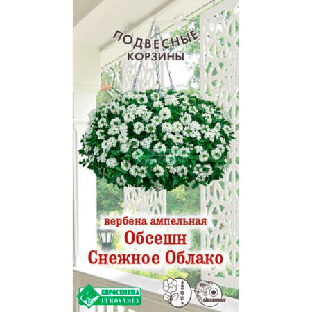 Вербена ОБСЕШН Снежное Облако ампельная (3 шт)