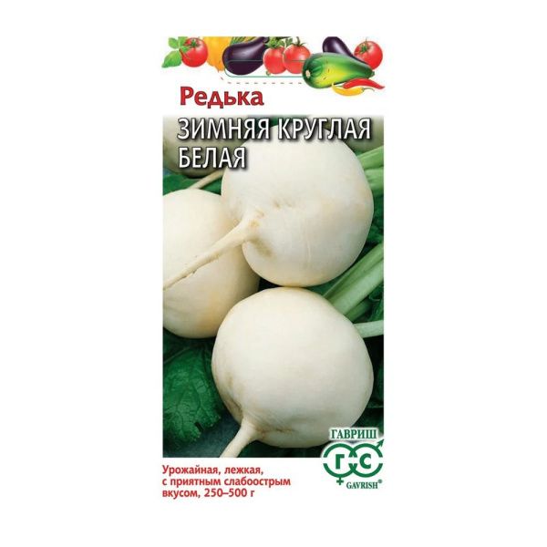 01Га4269 Редька Зимняя круглая белая 2,0 г