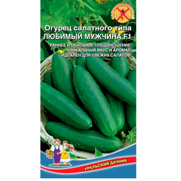 Огурец Любимый Мужчина
