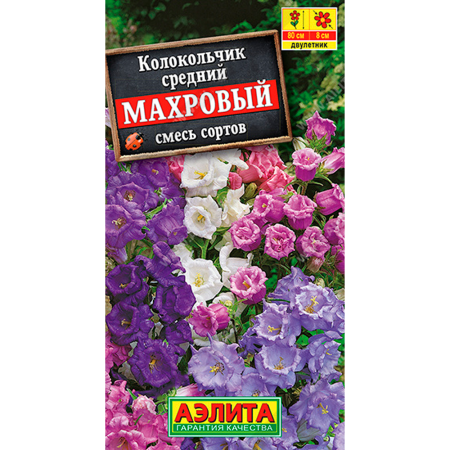 Колокольчик средний Махровый, смесь сортов Колокольчик средний Махровый, смесь сортов