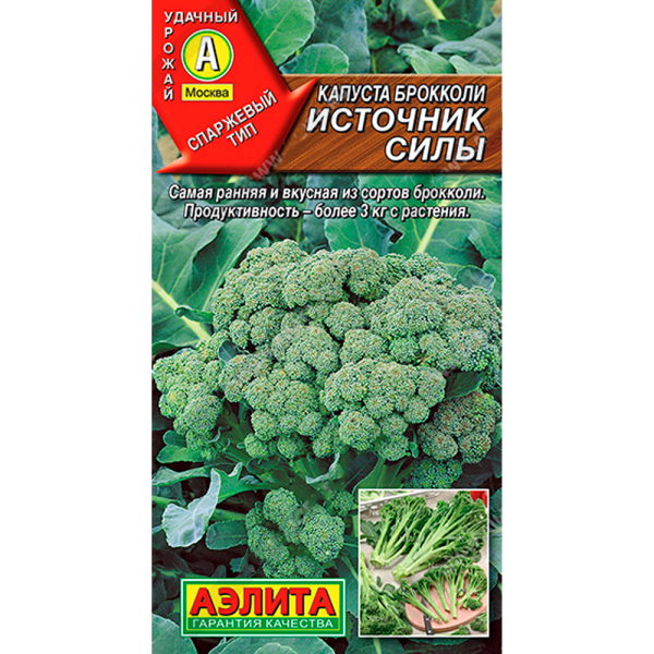 Капуста Брокколи Источник силы