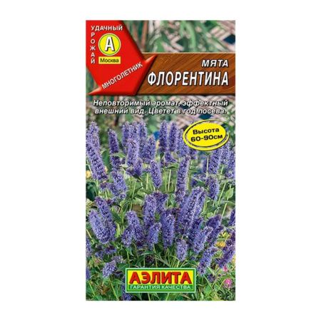 02Аэ1485 Мята Флорентина