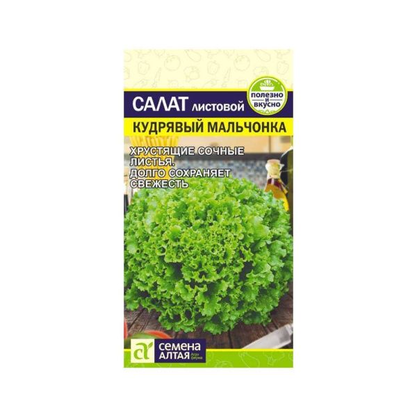 02Се2622 Зелень Салат Кудрявый Мальчонка-Сем Алт-цп 0,5 гр.  NDS