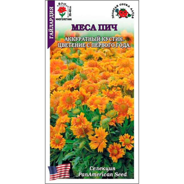 Гайлардия Меса Пич медно-желтый