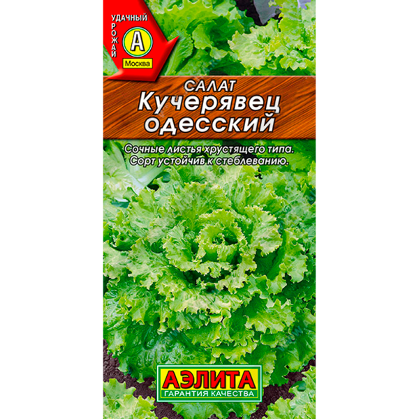 Салат Кучерявец Одесский полукочанный