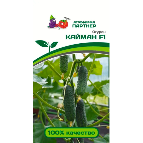 Огурец КАЙМАН F1 (10шт)