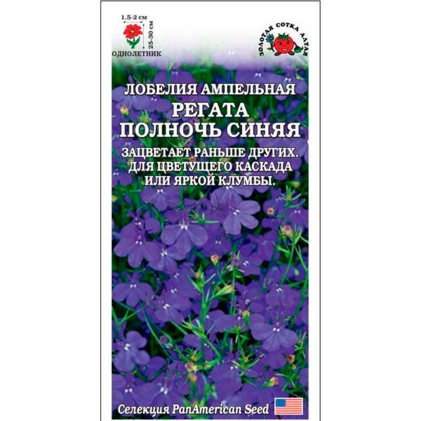 Лобелия Регата Полночь Синяя ампел