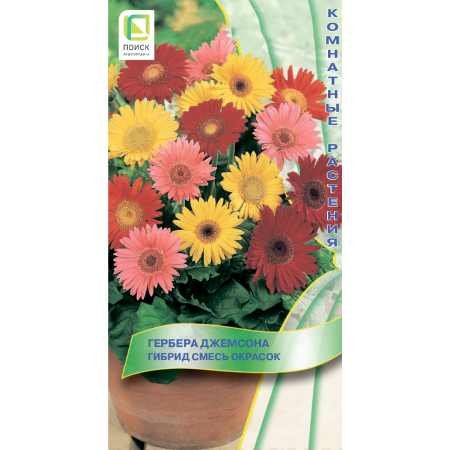 Гербера Джемсона Гибрид смесь окрасок (ЦВ) (К) 10шт