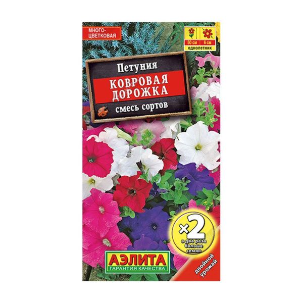 02Аэ1572 Петуния Ковровая дорожка, смесь сортов