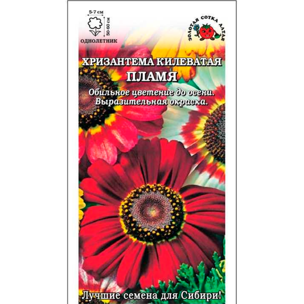 Хризантема Пламя килеватая
