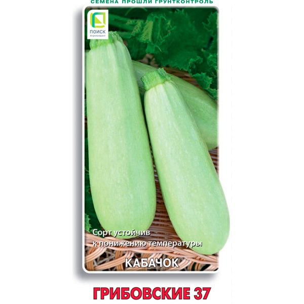 Кабачок Грибовские 37 (ЦВ) 12шт
