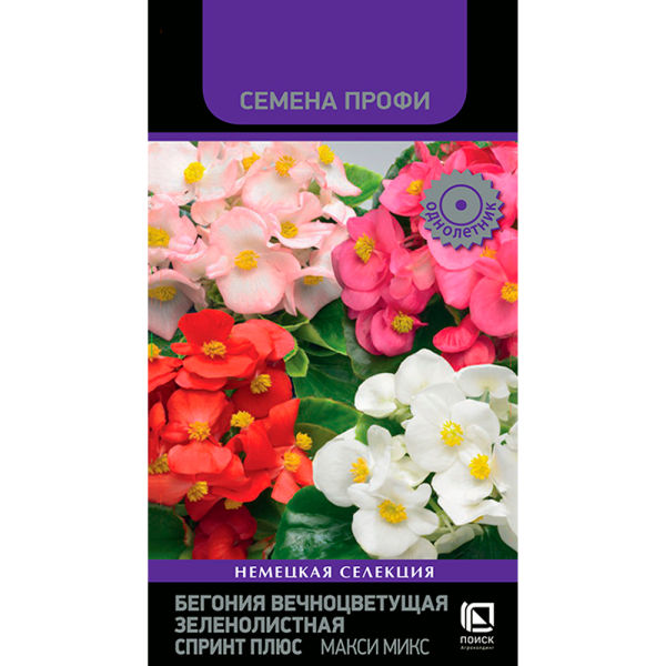 Бегония вечноцветущая зеленолистная Спринт Плюс Макси Микс (Семена Профи) (ЦВ) (1) 10шт