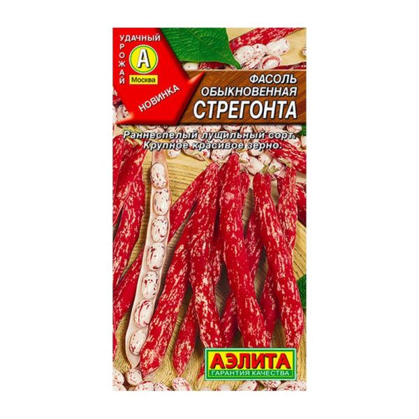 02Аэ1230 Фасоль обыкновенная Стрегонта