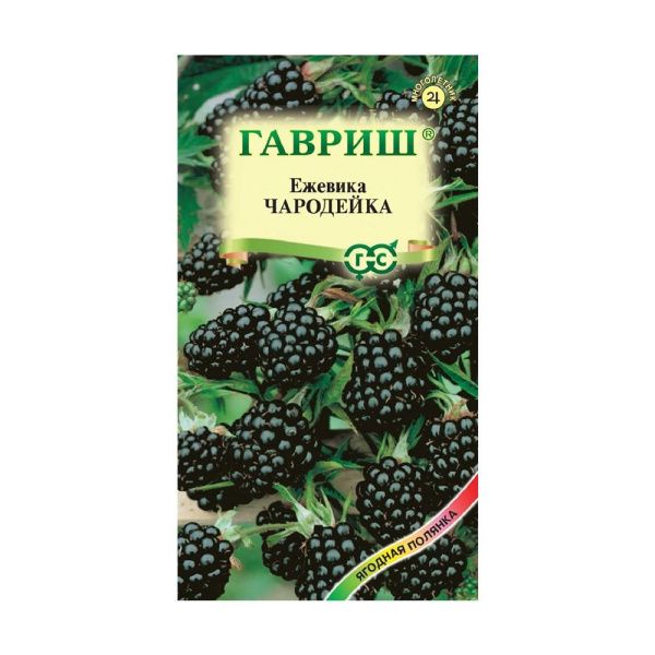 Га014466 Ежевика Чародейка 10 шт