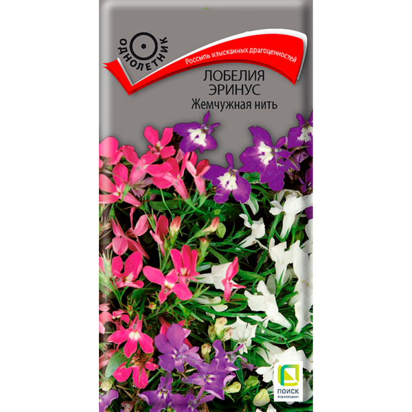 Лобелия эринус Жемчужная нить (ЦВ) (1) 0,1гр