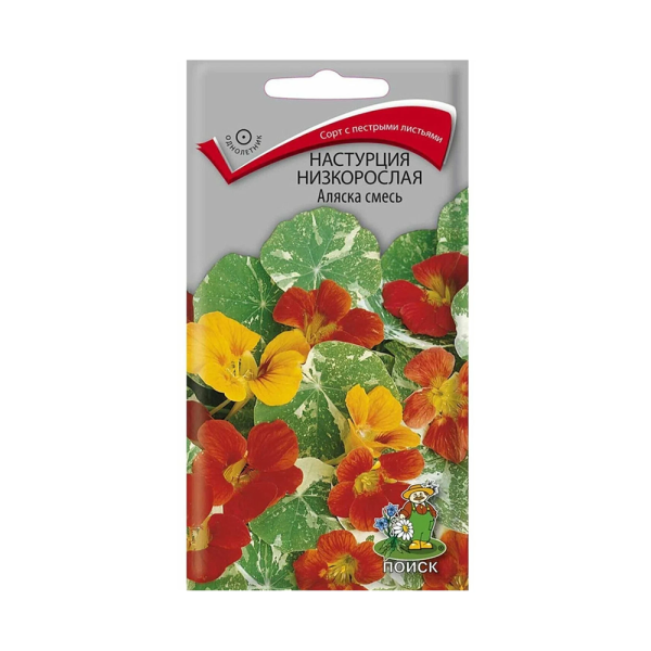 Настурция низкорослая Аляска смесь