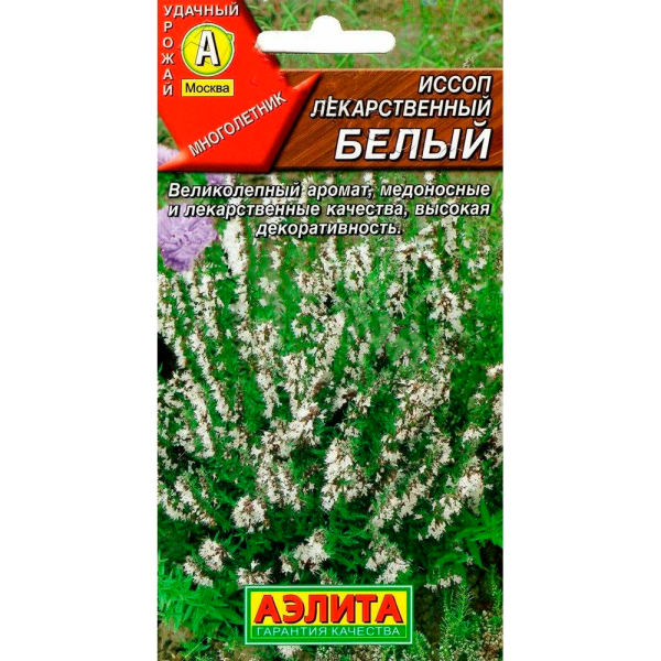 Иссоп лекарственный белый