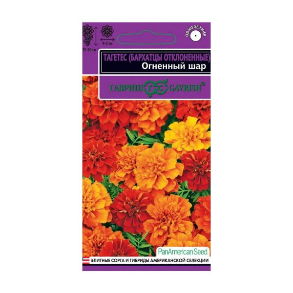 Га010184 Бархатцы откл. Огненный шар (Тагетес) хамелеон! 5 шт. серия Эксклюзив